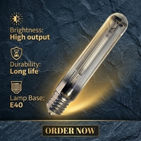 Lampe au sodium haute pression (HPS) E40 400W à une extrémité, Ra20, durée de vie de 24 000 heures, 2000K, garantie de 2 ans pour éclairage public