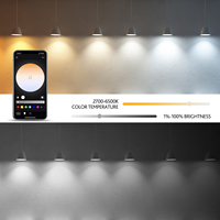 Wiscon 9W Intelligent Wifi Bluetooth E26 Vis Port Ampoule Rechargeable Globes Rgb Extérieur Sans Fil Haut-Parleur Usb Led Ampoule