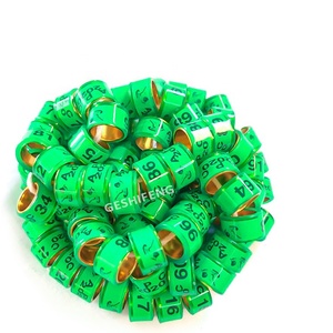 Custom <span class=keywords><strong>PHA</strong></span> ringen postduif - Product Image 6