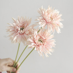 <span class=keywords><strong>Fleur</strong></span> artificielle en soie de type Gerbera brossée à tige unique, style Instagram et coréen, pour décoration intérieure minimaliste, fraîche et chic, provenant de Chine - Product Image 1