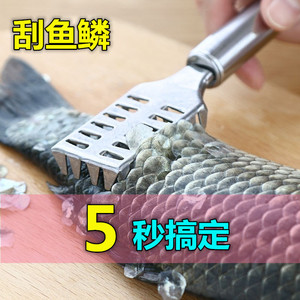Stainless Steel Fish Scaler Square Head Heavy Duty Seafood Tool For Kitchen Use - Product Image 3