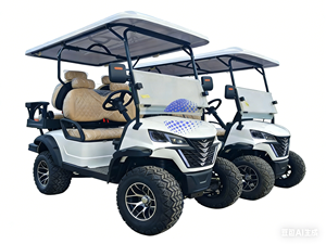 Carrito de Golf Eléctrico de 2 Plazas con Caja de Carga, Homologado por la CE, Carrito Utilitario de Golf, Buggy Eléctrico Estilo Resort - Product Image 2