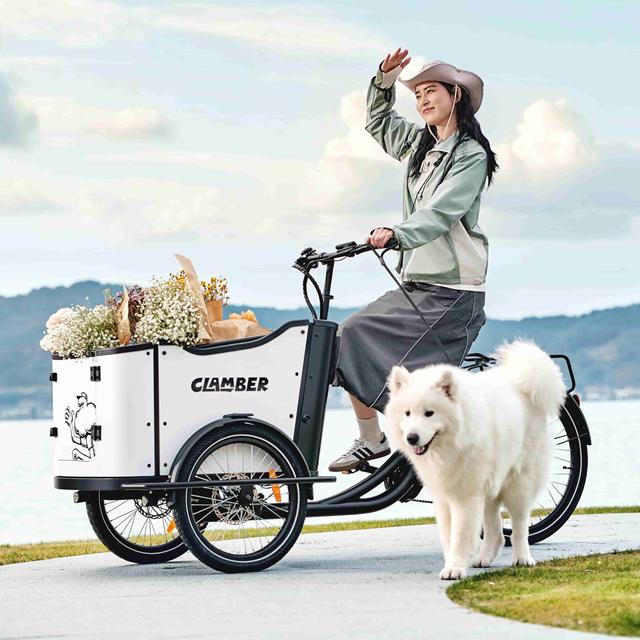 36V 250W Mid Motor Electric Cargo Bicycle for Households with Load Capacity of 150kg