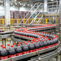 Machine de remplissage et d'embouteillage automatique de boissons gazeuses et de soda 1000 ml, vente en gros, offre spéciale