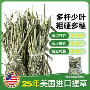 Heno de Timothy de 500g, Alto en Fibra, para Conejos y Mascotas Pequeñas, Importado de EE. UU. - Product Image 4