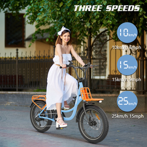 Bán Buôn Ebike Cho Người Lớn Hidoes C6 Điện Xe Đạp 350W 36V 13AH Điện Thành Phố Xe Đạp Trong Anh EU Cổ - Product Image 2