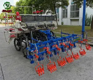 6 Rijen Paddy Wieder Kleine Boerderij Wieden Machine