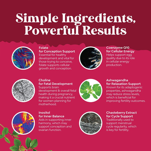 Ashwagandha ของผู้หญิง gummies อาหารเสริมตามธรรมชาติเพื่อสนับสนุนความอุดมสมบูรณ์ของผู้ใหญ่เพศหญิงขายดี - Product Image 5