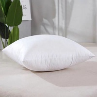 Coussin personnalisé directement de l'usine, décoration intérieure, oreiller de canapé-lit en plumes, vente en gros, oreiller et coussin blancs bon marché