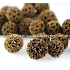 Boules d'érable séchées Liulutong pour <span class=keywords><strong>la</strong></span> période <span class=keywords><strong>de</strong></span> lactation, traitement brut avec Tongcao, Loofah du roi - Product Image 3