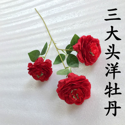 Big Red 3 Big Head Peony/Branch