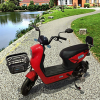 Fabricant chinois en gros, vélo électrique urbain à 2 places avec moteur sans balais 350W, batterie au plomb-acide 48V, grand panier, acier sécurisé à l'arrière