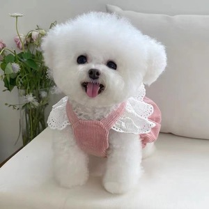 Pink Corduroy Dog Skirt With Bow And <b>Lace</b> Trim For <b>Teddy</b> Bichon Frise Winter Princess Style Pet Clothes - Product Image 2