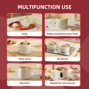 Marmite électrique multifonctionnelle puissante tout-en-un de 1L <span class=keywords><strong>grande</strong></span> <span class=keywords><strong>capacité</strong></span> pour la cuisine chinoise, en céramique, pour ragoûts et cuisson lente - Product Image 6