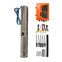 Pompe solaire immergée en acier inoxydable 4 pouces 220VDC/VAC 2500W 185M 12000 L/HR 280M 8000 L/HR 400M 5000 L/HR