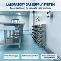 Boîtier de distribution de gaz de laboratoire 300 bars 1/4 à montage sur panneau, système de distribution spécialisé en acier inoxydable pour armoire à gaz