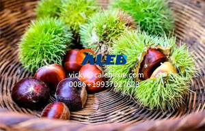 Machine automatique à décortiquer les châtaignes, machine à peler les châtaignes, machine à peler et décortiquer les châtaignes - Product Image 6