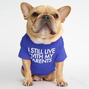 Camiseta Clásica LY <span class=keywords><strong>de</strong></span> Algodón Anti-Rasguños para <span class=keywords><strong>Perros</strong></span>, Ligera, para Verano, Lavable, para Bulldog Francés y <span class=keywords><strong>Shar</strong></span> <span class=keywords><strong>Pei</strong></span>, para <span class=keywords><strong>Perros</strong></span> Sensibles - Product Image 4