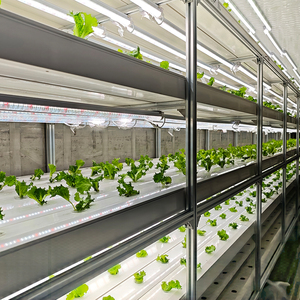 مزرعة حاويات متنقلة مع مصنع من المصنع جاهزة للزراعة مباشرة بعد التسليم - Product Image 5