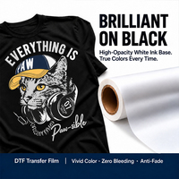 Rouleau de film PET DTF neuf, à flux d'encre fluide, couleurs vives, matériau d'impression par transfert DTF pour t-shirts et sweats à capuche