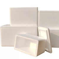 Boîte d'Emballage Personnalisée en Mousse EPS Polystyrène pour Transport Alimentaire Froid, Glace Sèche, Médical, Fruits, Poissons, Légumes et Viandes