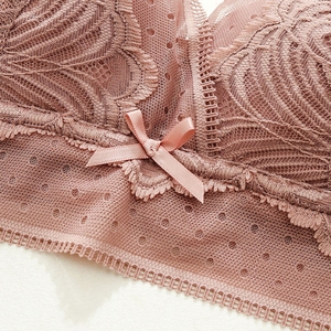 2026 Sexy Ladies Bra Underwear Women Wire Free Custom OEM Silk Bra for Women - Product Image 3