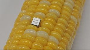 Minewsemi me54bs61 nrf54l15 2.4 GHz giao thức cho Bluetooth Le 6.0 lưới 30 GPIO 1.5Mb đèn flash mô-đun máy phát không dây RF - Product Image 6