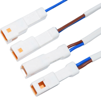 Cable erminal de DJ7041-6.3-11/21 T, 250 Female y cable de Conexión macho ar, par de poda, arnés de alimentación