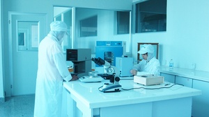 Maquereau congelé 400-600g, Pacifique Nord, directement de l'usine, prix compétitif - Product Image 6