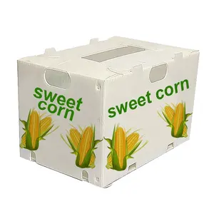 Scatole ondulate dirette di fabbrica di mais dolce pieghevole in plastica ondulata scatola PP per il confezionamento di asparagi gombo di patate surgelato