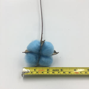 Vente en gros de fleurs séchées à tige unique en <span class=keywords><strong>coton</strong></span> sec pour les décorations de Noël, d'Halloween <span class=keywords><strong>ou</strong></span> de la fête des mères - Product Image 6