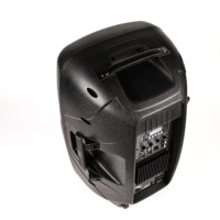 DASN SCC15AOH-LED4 Enceinte active professionnelle de classe AB en plastique de 15 pouces 100W avec contrôle par application Enceinte amplifiée