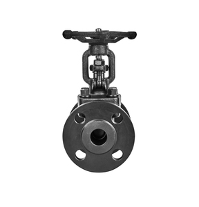 DN10 DN25 클래스 150lb 수동 탄소강 플랜지 글로브 밸브 물 오일 고압 용 초고진공 제어 - Product Image 2