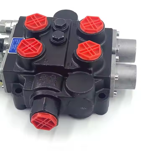 วาล์วควบคุมการไหลแบบชดเชยแรงดันด้วยตนเอง รุ่น RD5200  ปรับแต่งโซลูชันไฮดรอลิก OEM/ODM สำหรับวาล์ว RD5200 - Product Image 6
