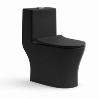 Réservoir d'eau intégré, toilette automatique, chasse d'eau automatique par capteur, lavage à l'eau chaude, télécommande, céramique