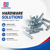 Rivets semi-tubulaires à tête plate de 3-6 mm en acier inoxydable et acier au carbone, rivets creux pour fixation industrielle, fabricant OEM sur mesure