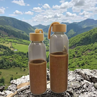 Sports de plein air portables 300ml 450ml 500ml bouteille d'eau en verre avec couvercle en bambou lanière de couverture en lin isolante