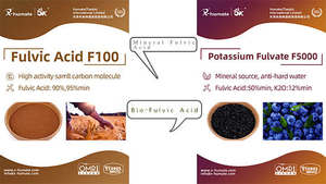 X- humate 100% fertilizante orgánico soluble en agua 80% 90% 95% polvo de ácido fúlvico - Product Image 3