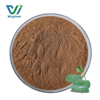 Poudre de feuille de lotus de qualité industrielle, 1% 2% 3% 5% 10% 20% d'alcaloïdes, extrait de feuille de lotus en poudre