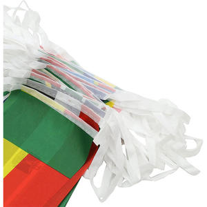 Offres Spéciales Côte d'Ivoire Côte d'Ivoire 10 Mètres 30 pièces Drapeau à cordes Bunting 8.8 ''X 5'' d'Ivoirien pour décoration nationale - Product Image 4