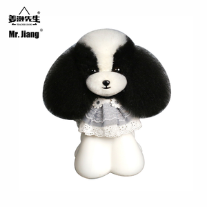Mr.Jiang Teddy Huagui Teddy Head Hair (solo peluca sin modelo) <span class=keywords><strong>Pet</strong></span> Teacher Beauty Modeling Practice - Product Image 4