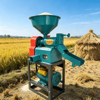Machine à décortiquer le riz combinée automatique portable Satake pour usine céréalière