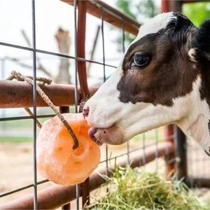 ملح الهيمالايا الطبيعي لعق الملح النقي بحبل غني بالمغذيات الأساسية للخيول الماشية والأغنام - Product Image 5