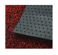 Pied d'entrée antibactérien facile à nettoyer grattoir à chaussures conception de bobine PVC rouleau tapis/PVC boucle nouilles porte coussin spaghetti tapis