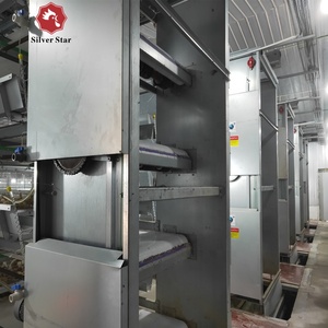 Équipement d'élevage avicole entièrement <span class=keywords><strong>automatique</strong></span> - Cages à poulets de chair en batterie à vendre - Product Image 3