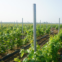 Piquet en acier galvanisé à chaud pour vignes, diamètre 48 mm, épaisseur de paroi 2,5 mm, haute résistance à la traction, pour vignobles et ranchs