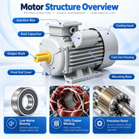 Moteur monophasé BIOTE YL100L1-4 3HP 2.2kW 220V 60Hz 1800RPM, moteur électrique asynchrone à induction AC pour moulin à céréales et à riz