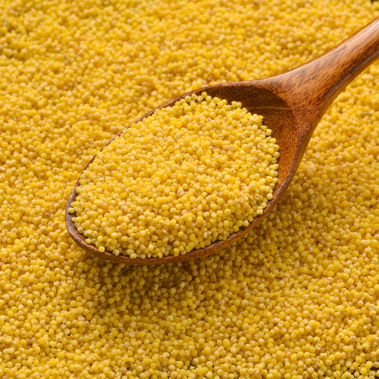 Pure natural green additive-free yellow millet  a variety of ways to eat  to meet the nutritional needs of the human body