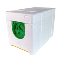 Équipement d'apiculture Mini ruche abeille reine élevage boîte d'accouplement Nuc boîte de ruche