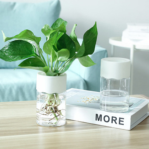 Vaso Idroponico P440 <span class=keywords><strong>per</strong></span> <span class=keywords><strong>Fiori</strong></span>, Decorazione Casa, Vaso Trasparente <span class=keywords><strong>in</strong></span> <span class=keywords><strong>Plastica</strong></span> <span class=keywords><strong>per</strong></span> Piante Senza Suolo, Vaso <span class=keywords><strong>per</strong></span> Piante Verdi <span class=keywords><strong>per</strong></span> Decorazione Domestica - Product Image 3